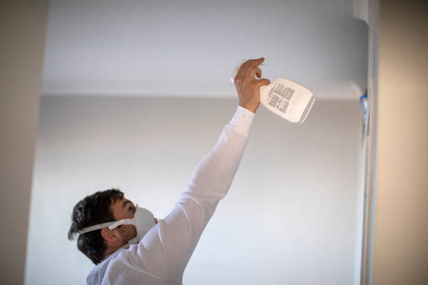 Best Fast Mold Removal  in Sibley, IA